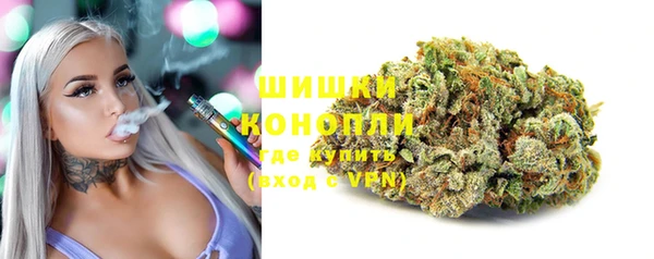 соль ск Арсеньев