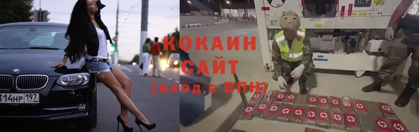 соль ск Арсеньев