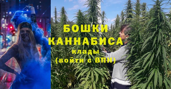 соль ск Арсеньев